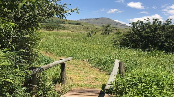 Sani Lodge Backpackers and Self-Catering Cottages