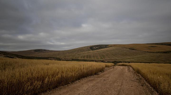 Melk Houte Bosch Guest Farm