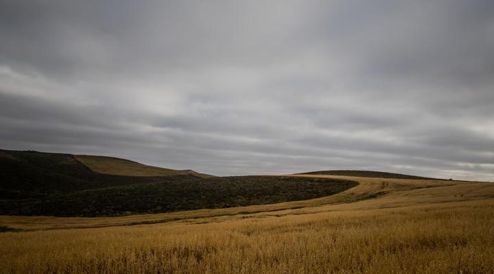 Melk Houte Bosch Guest Farm