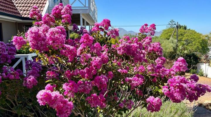 Berrydel LifeStyle Guesthouse