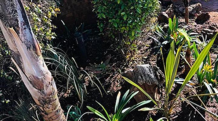 Koi Liv Inn - Bedfordview