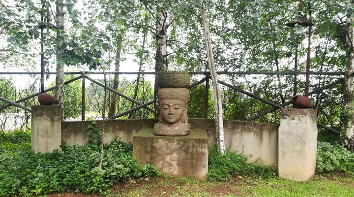 Fox Hill Guest House