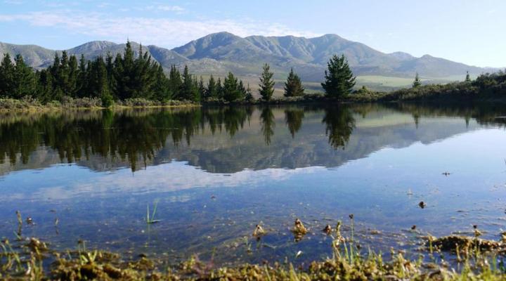 Mountain Pastures Lodge