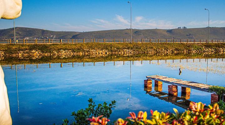 ON THE ESTUARY KNYSNA