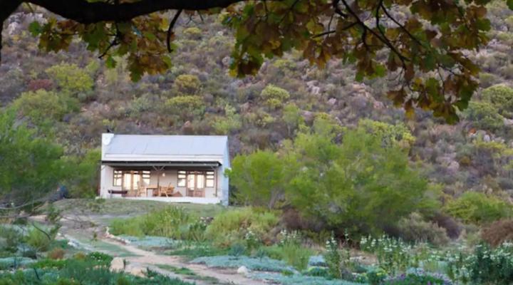 Cederkloof Botanical Retreat