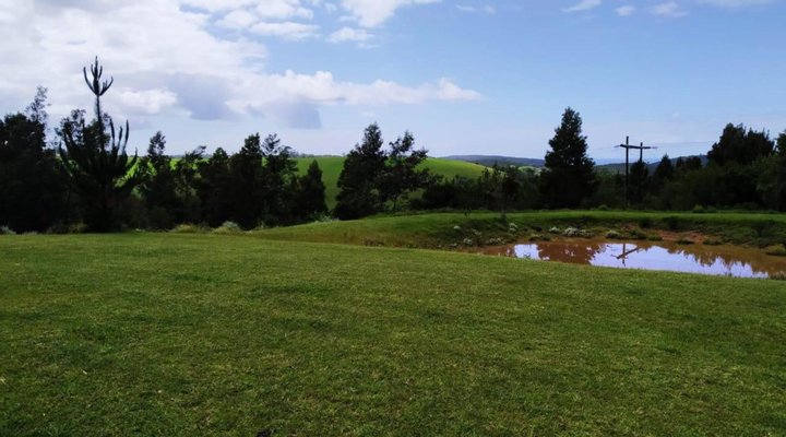 Green Hills Forest Lodge