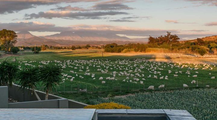 Sonas Boutique Guest House