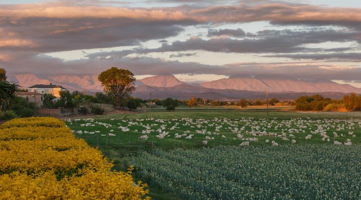 Sonas Boutique Guest House