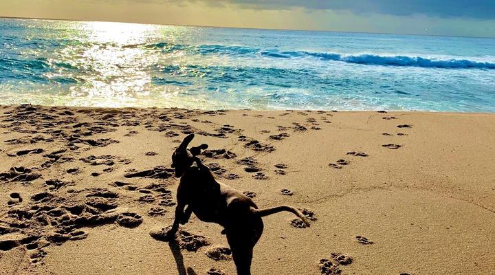 COCOtree Beach House