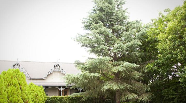 The Gables Guest House