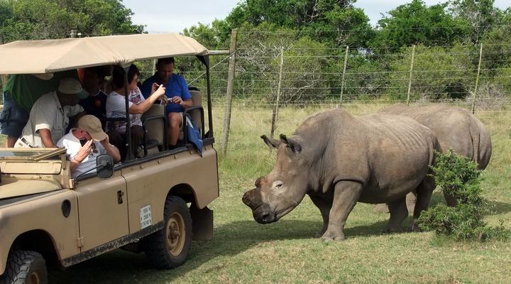 Addo Riverbank on Sundays -2 Night Safari Package