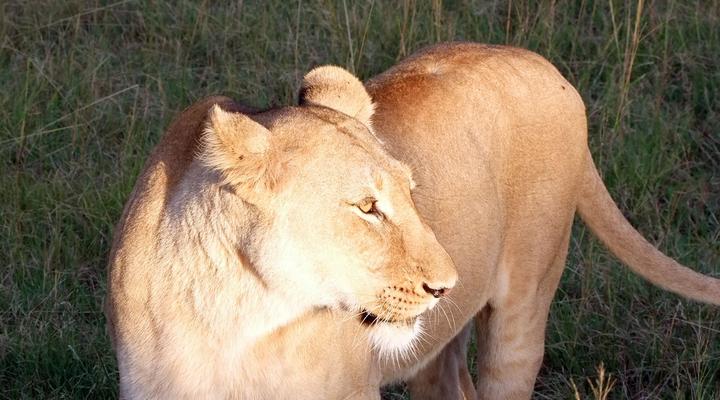 Addo Riverbank on Sundays -2 Night Safari Package