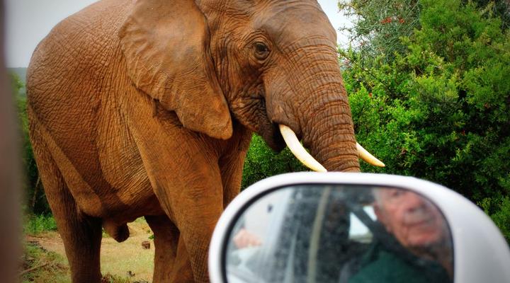 Addo Riverbank on Sundays -2 Night Safari Package