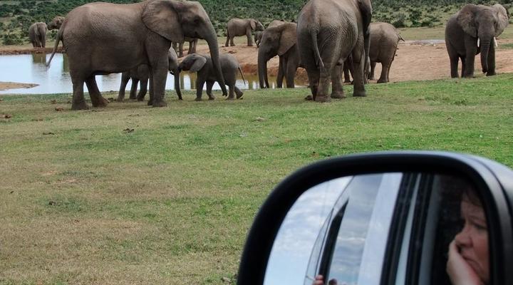 Addo Riverbank on Sundays -2 Night Safari Package