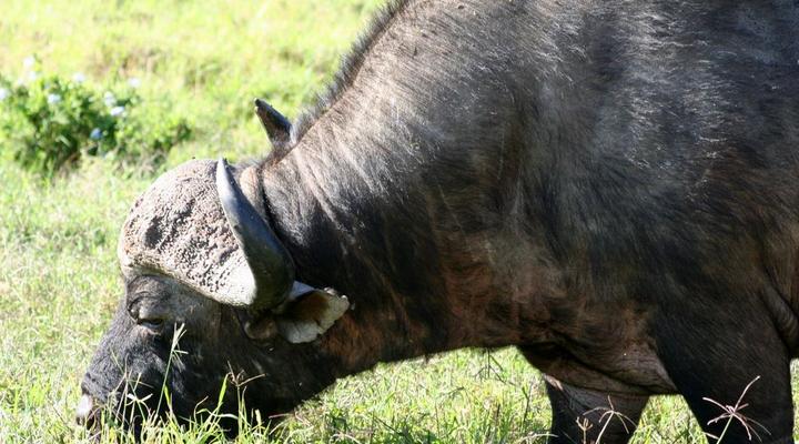 Addo Riverbank on Sundays -2 Night Safari Package