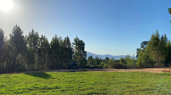 Noah - Farm Campsite