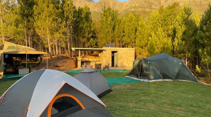 Noah - Farm Campsite