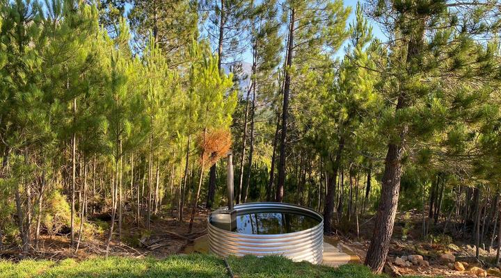 Noah - Farm Campsite