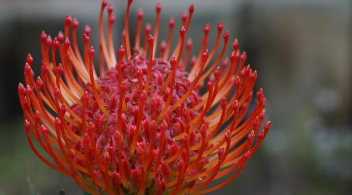 Pumula Lodge Knysna 4 Star GuestHouse