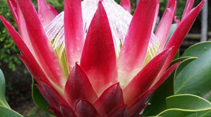 Pumula Lodge Knysna 4 Star GuestHouse