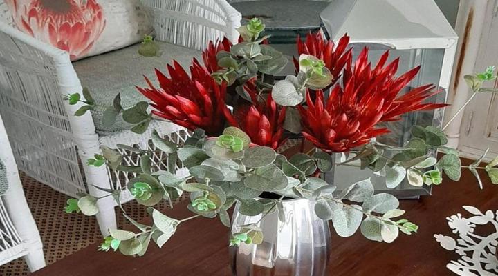 The Greenhouse Guesthouse