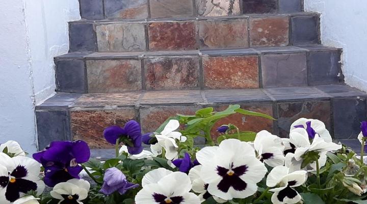 The Greenhouse Guesthouse