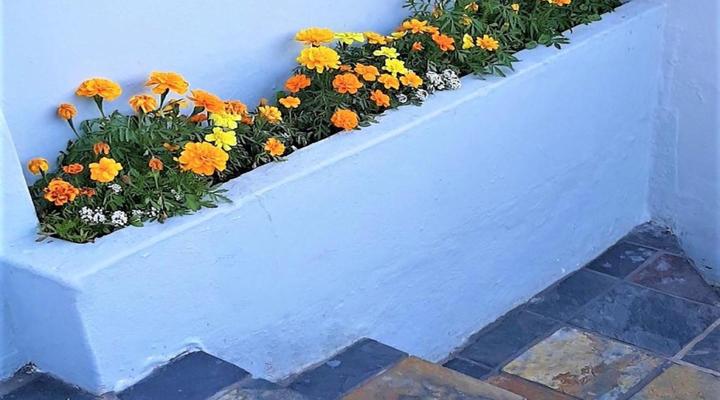 The Greenhouse Guesthouse