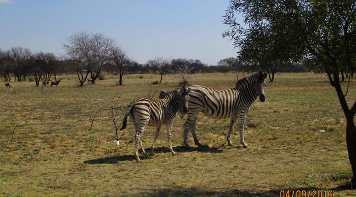 Vaal River Holiday Home 