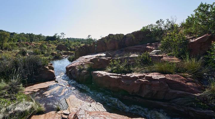 Bateleur Nature Reserve
