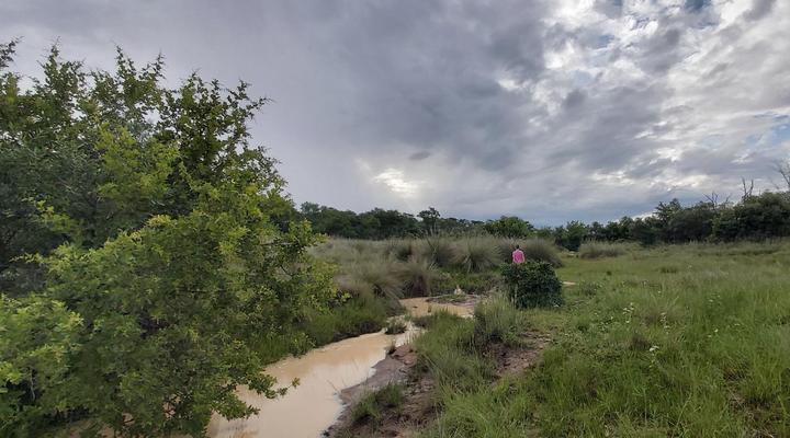 Izintaba Private Game Reserve