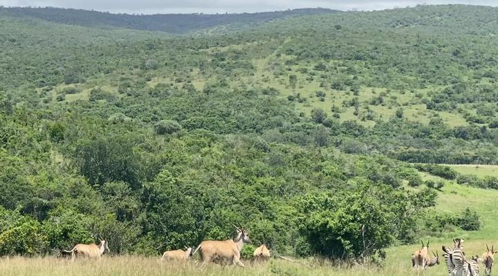 Horseshoe Game Reserve