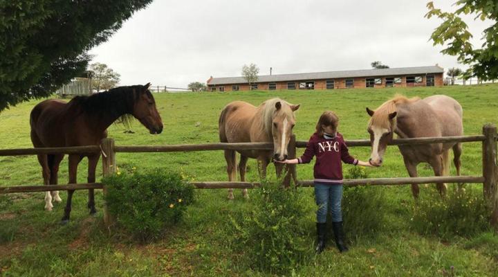 Katberg Mountain Resort & Hotel