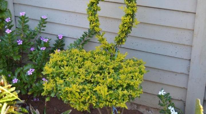 Iqhayiya Guest House