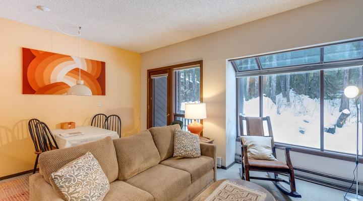 #33 Snowater Condo
