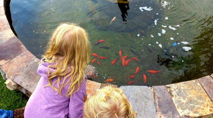 Seagulls Beach Hotel