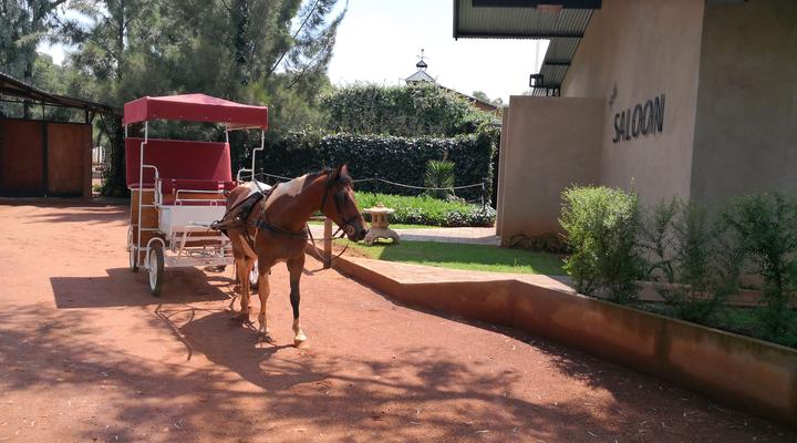 VESA Wedding & Function Venue