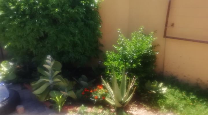 Pandeinge Guest House