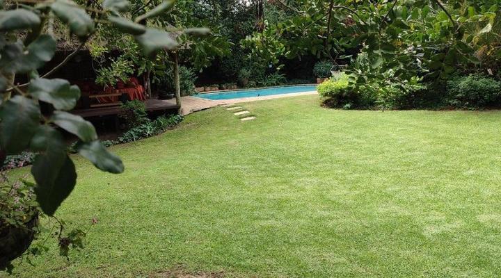 Willow Rock Guest House