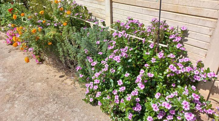 The Heidelberger Self-catering Guest Suite