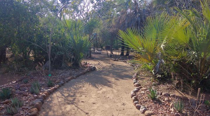 Nthakeni Bush & River Camp