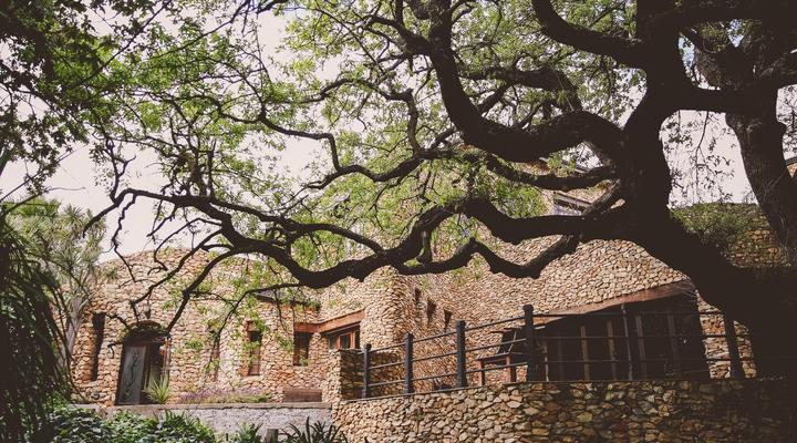 Soaring Eagles Guest Lodge