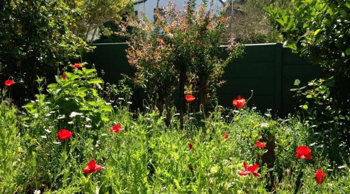 Edenwood Guest House