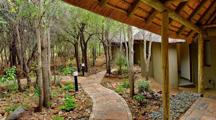 Tambuti Lodge - Pilanesberg