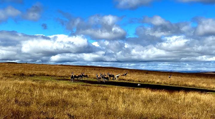 Angel's Rest Dullstroom Country Estate