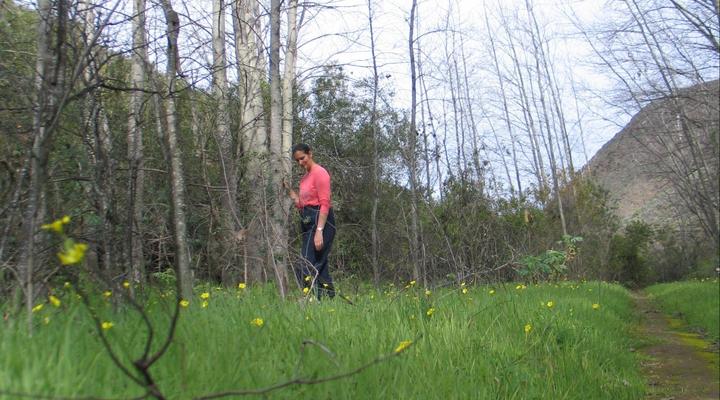 Buitenstekloof Mountain Cottages