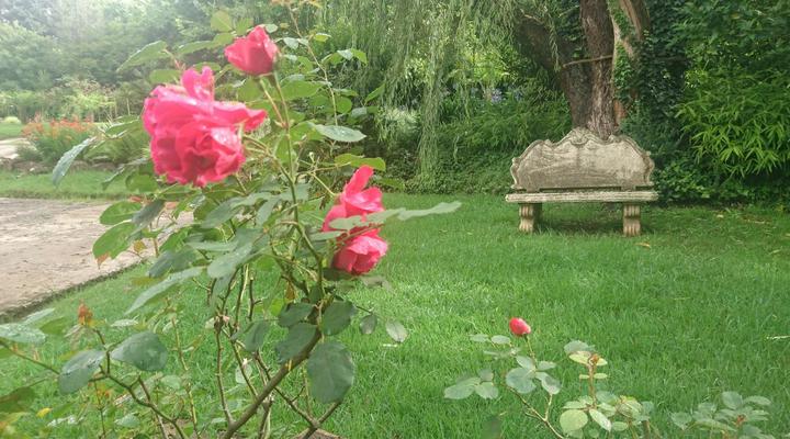 Dragon's Lair Guest Lodge