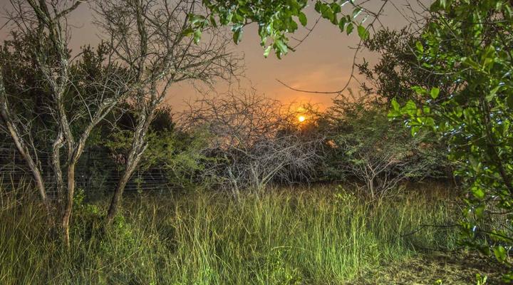 LookOutSafariLodge - “The Heartbeat of Africa”