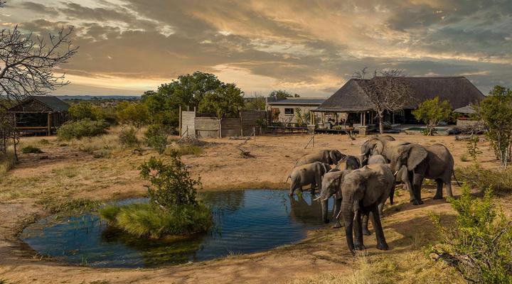 Imagine Africa Luxury Tented Camp