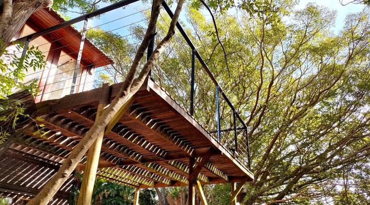 ZenCapeTown Forest Retreat