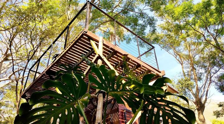 ZenCapeTown Forest Retreat